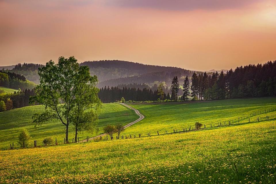 Hotel Herrloh Winterberg Zewnętrze zdjęcie